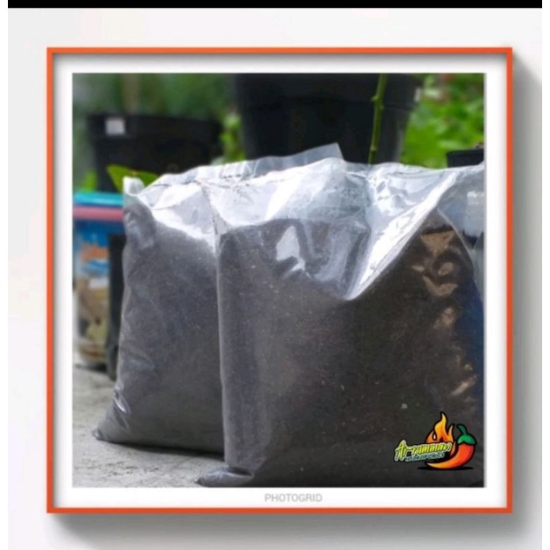 Pupuk Organik Vermicompost Kascing - 1 Kg Pupuk Organik Vermicompost Kascing - 1 Kg