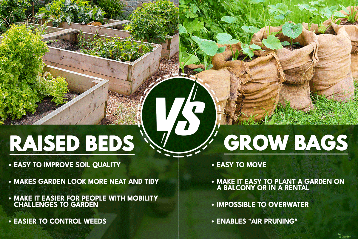 Grow Bags Vs Raised Beds: Which Is Better? Grow Bags Vs Raised Beds: Which Is Better?