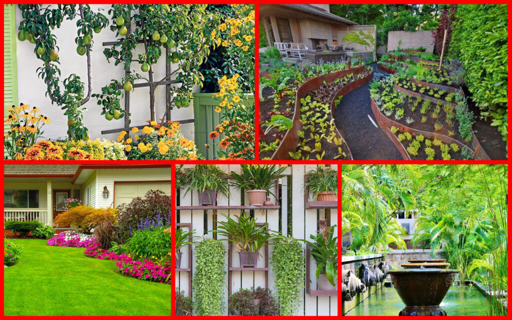 Mengenal 7 Jenis Kebun yang Dapat Anda Buat di Rumah – Pupuk Organik ... Mengenal 7 Jenis Kebun yang Dapat Anda Buat di Rumah – Pupuk Organik ...