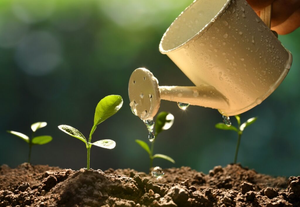 Ini Perbedaan Kelebihan dan Kekurangan Air pada Tanaman Ini Perbedaan Kelebihan dan Kekurangan Air pada Tanaman