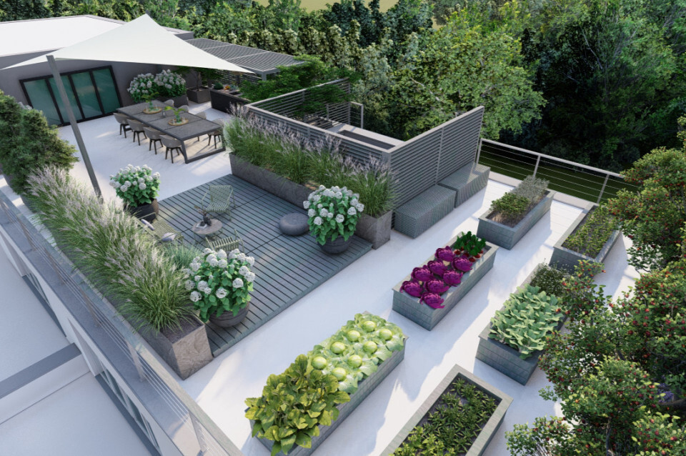 6 Tanaman Sayur yang Paling Mudah Ditanam di Halaman Rumah 6 Tanaman Sayur yang Paling Mudah Ditanam di Halaman Rumah