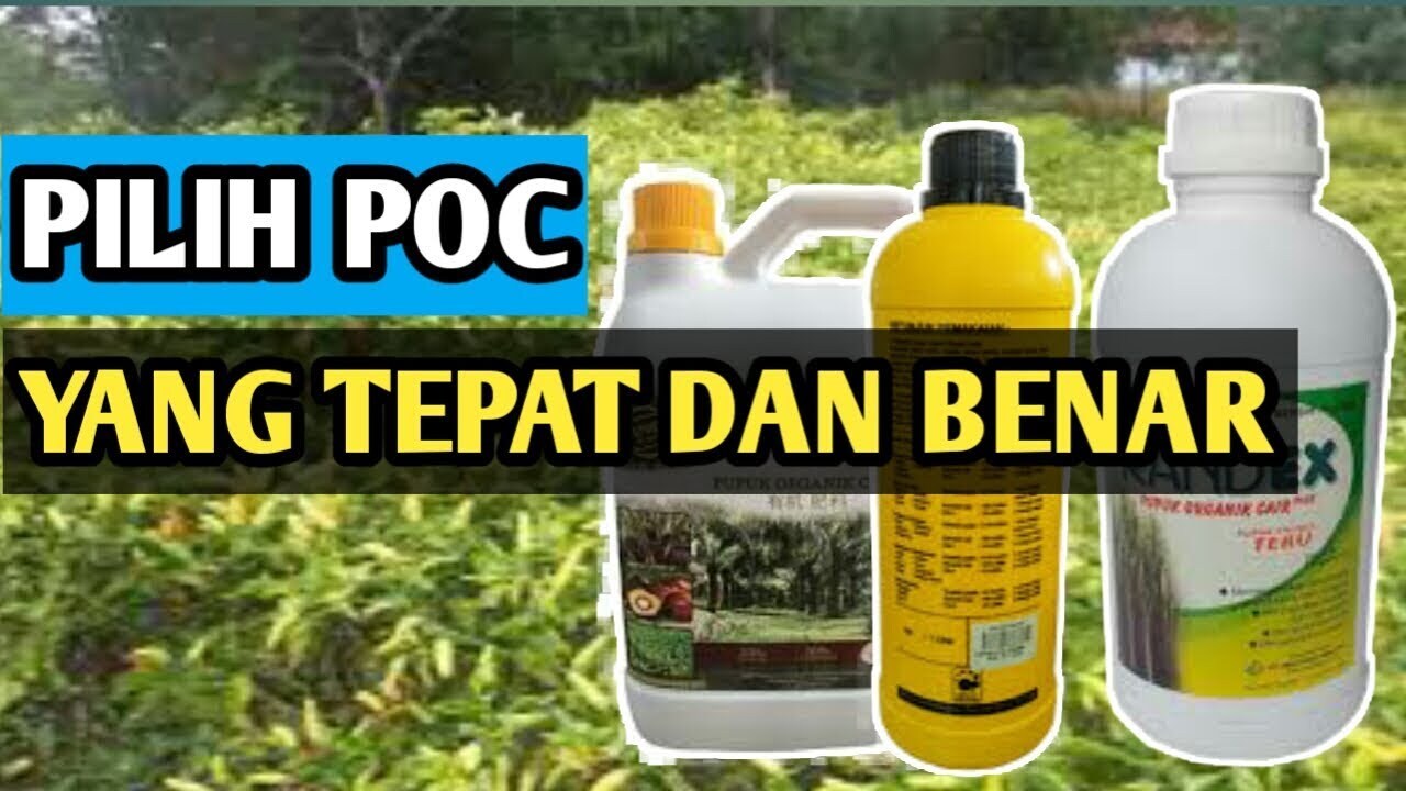 Pembuatan Pupuk Organik Cair (POC) | PDF Pembuatan Pupuk Organik Cair (POC) | PDF
