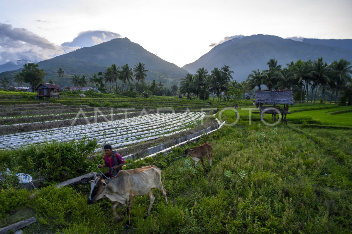 Quiz mikro.docx Quiz mikro.docx